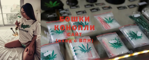 трава Белокуриха