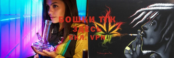 ПСИЛОЦИБИНОВЫЕ ГРИБЫ Белоозёрский