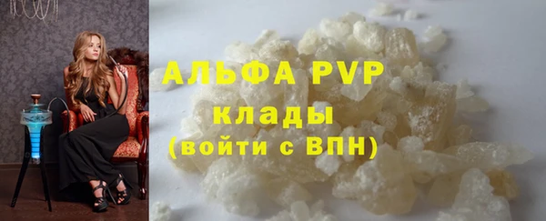 трава Белокуриха