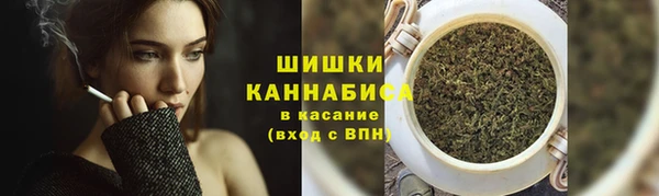трава Белокуриха