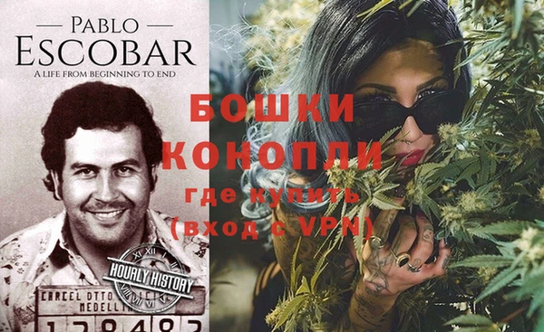 ПСИЛОЦИБИНОВЫЕ ГРИБЫ Белоозёрский