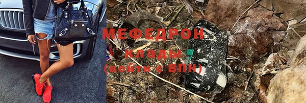 трава Белокуриха