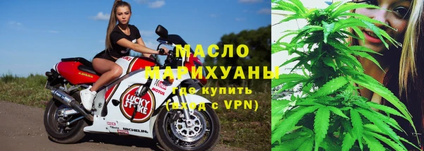 стаф Пересвет