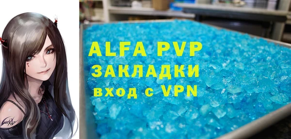 гашик Пестово