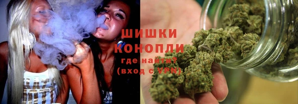 ПСИЛОЦИБИНОВЫЕ ГРИБЫ Белоозёрский